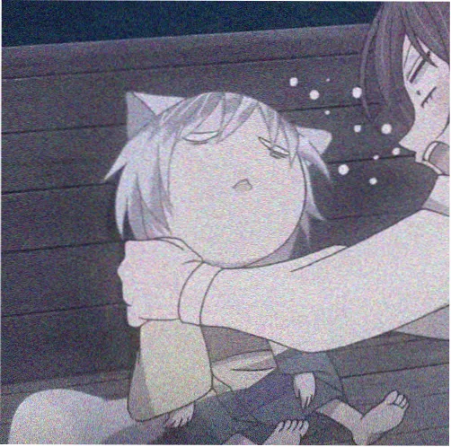 纸箱里的猫 头像